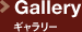 Gallery ギャラリー